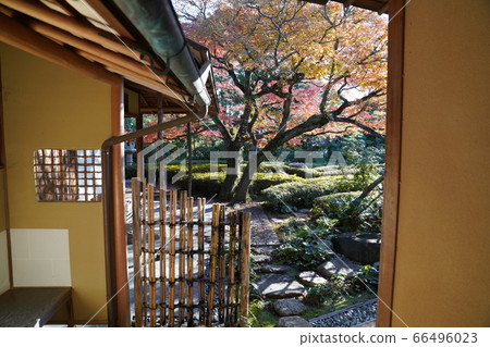 Shofuen Autumn leaves in Hirao, Fukuoka Shofuen Autumn leaves in Hirao, Fukuoka 66496023