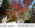 Shofuen Autumn leaves in Hirao, Fukuoka Shofuen Autumn leaves in Hirao, Fukuoka 66496028