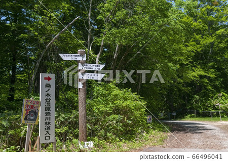 Information board of Kuwanogidai Wetland in Yurihonjo City, Akita Prefecture in the forest 66496041