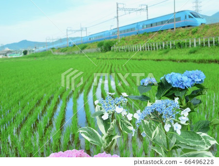 The time of Tsuyu, the scenery of Japan 66496228