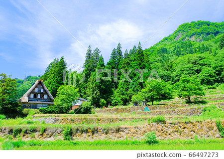 初夏愛倉合掌祖里村 初夏愛倉合掌祖里村 66497273