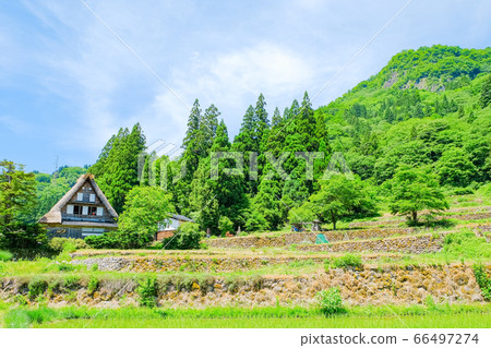 初夏愛倉合掌祖里村 初夏愛倉合掌祖里村 66497274