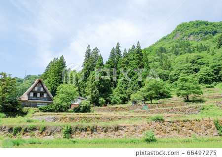 Aikura Gassho-zukuri village in early summer Aikura Gassho-zukuri village in early summer 66497275