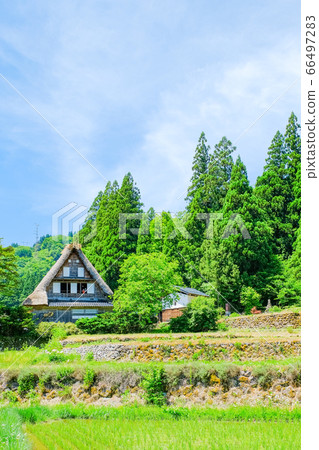 Aikura Gassho-zukuri village in early summer 66497283