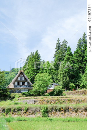 初夏愛倉合掌祖里村 66497284