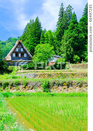 初夏愛倉合掌祖里村 66497285