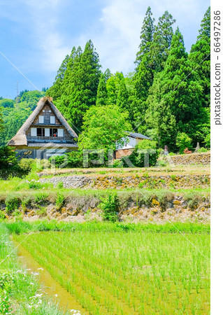初夏愛倉合掌祖里村 66497286