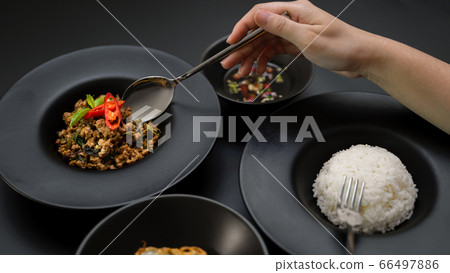 Female eating Stir fried minced pork with basil 66497886