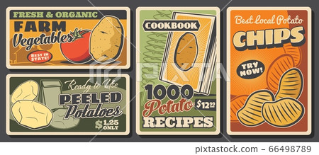 Potato and tomato vegetables, farm food posters Potato and tomato vegetables, farm food posters 66498789