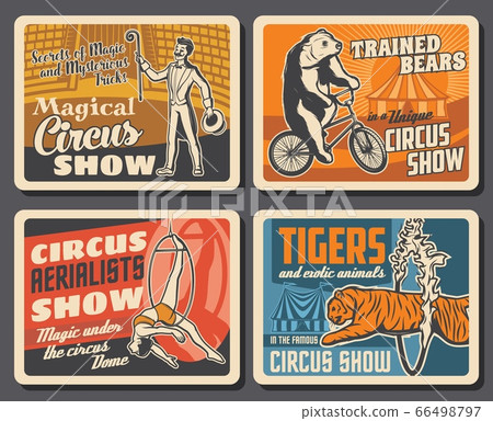 Circus performers, animal, chapiteau carnival tent 66498797