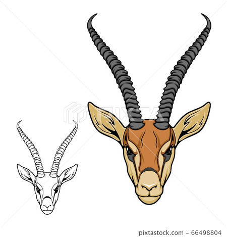 Impala antelope animal icon, hunting sport mascot 66498804