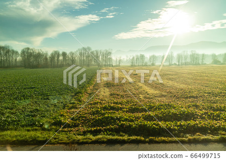 Agricultural green fields and areas under bright sun in Austria country. Agricultural green fields and areas under bright sun in Austria country. 66499715