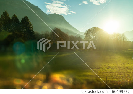 Natural landscape with trees, mountains and blurred forefront, Austria. 66499722