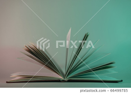 Beautiful open old book pages in neon  light. 66499785