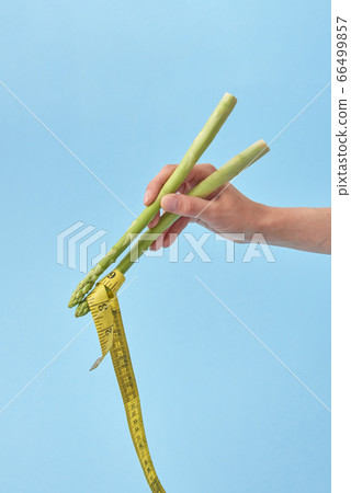 Female's hand with asparagus sticks is taking measure tape. Female's hand with asparagus sticks is taking measure tape. 66499857