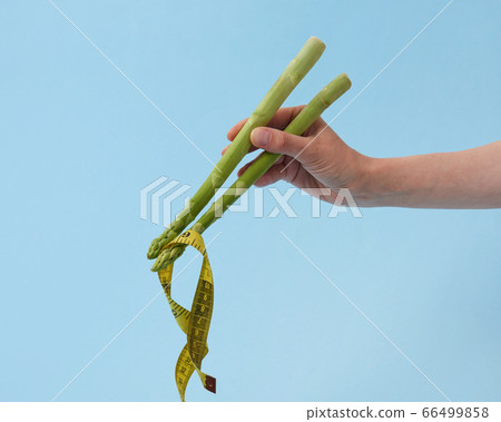 Asparagus spears in a woman's hand holding yellow measuring tape. Asparagus spears in a woman's hand holding yellow measuring tape. 66499858