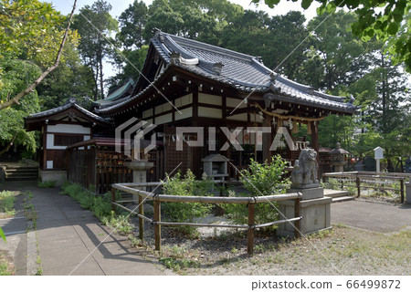 新熊野神社本館 新熊野神社本館 66499872