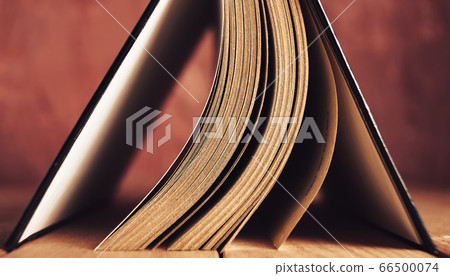 Close up Beautiful ancient open old book on a red  66500074