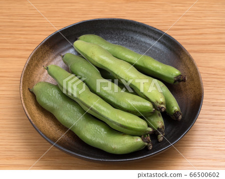 生蠶豆 生蠶豆 66500602