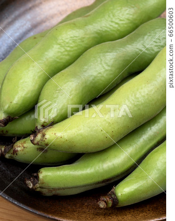 生蠶豆 生蠶豆 66500603