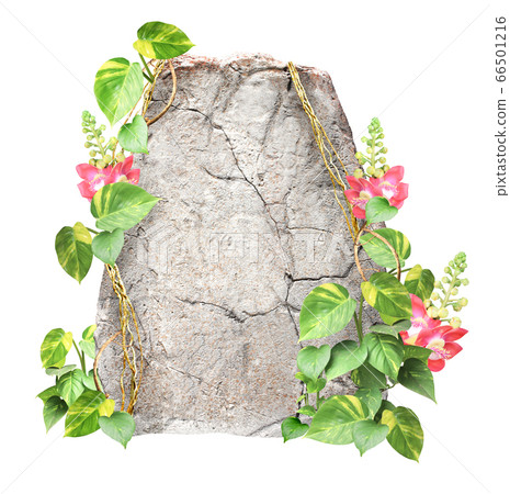 Natural ancient stone, flower and leaves of 66501216