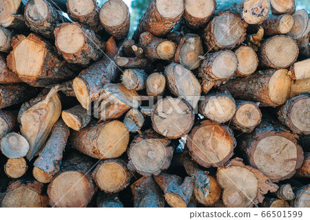 A pile of wooden logs prepares for the wood industry.  66501599