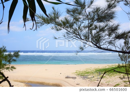 Pictures of the sea 66501600