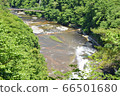 群馬吹樹瀑布和吊橋 66501680
