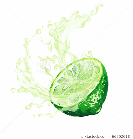 Half of citrus fruit with splash of juice 66502618
