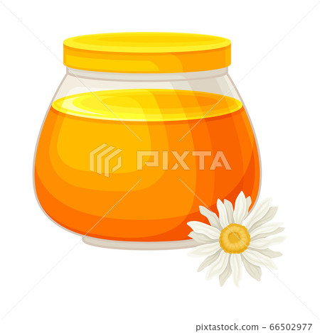 Glass Jar Full with Honey and Daisy Flower Rested Nearby Vector Illustration Glass Jar Full with Honey and Daisy Flower Rested Nearby Vector Illustration 66502977
