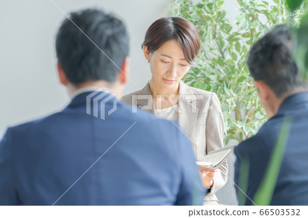 business woman, businesswoman, a meeting 66503532