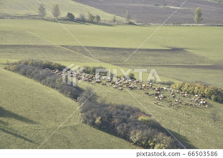 夢幻般的Fumitsu Tano，Sanpo的全景。 66503586