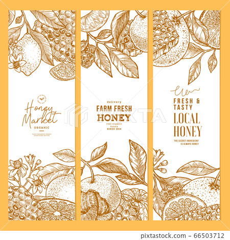 Citrus and honey vertical design templates 66503712