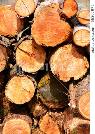 日誌記錄 日誌記錄 66503973