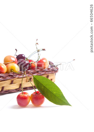 Yellow and red sweet cherry in basket with green 66504626