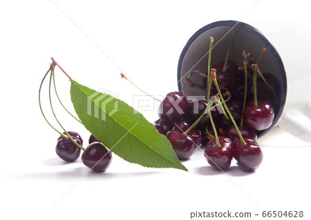 Red sweet cherry in white cup with green leaf 66504628
