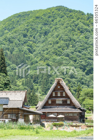 Suganuma Gassho-zukuri village in early summer Suganuma Gassho-zukuri village in early summer 66505324