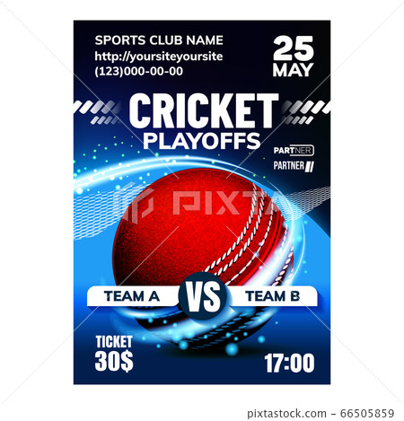 Cricket Sport Announcement Flyer Banner Vector 66505859