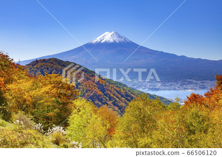 山梨縣南鶴留區富士河口湖町三坂口的富士山和秋葉 山梨縣南鶴留區富士河口湖町三坂口的富士山和秋葉 66506120