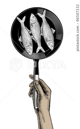 A woman cooks fishes in a frying pan. A woman cooks fishes in a frying pan. 66507232