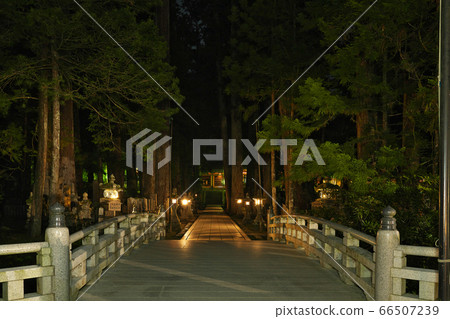 [Koyasan Okunoin（night）]和歌山縣伊東郡高野町高野山 66507239