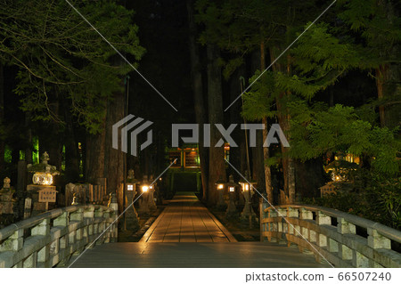 [Koyasan Okunoin（night）]和歌山縣伊東郡高野町高野山 66507240