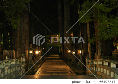 [Koyasan Okunoin（night）]和歌山縣伊東郡高野町高野山 66507241