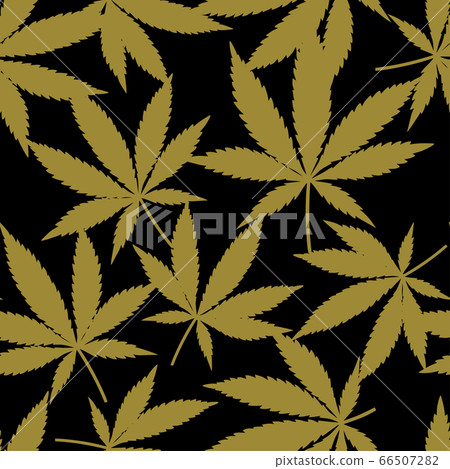 Cannabis or Marijuana leaves in gold. 66507282