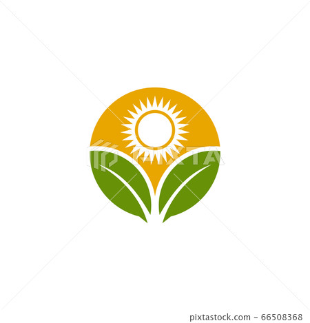 Sun logo icon design vector template 66508368