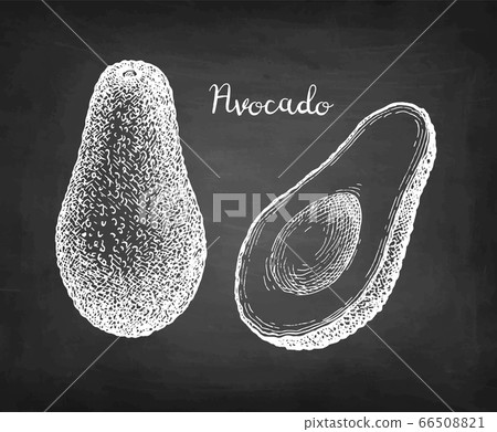 Chalk sketch of avocado. Chalk sketch of avocado. 66508821