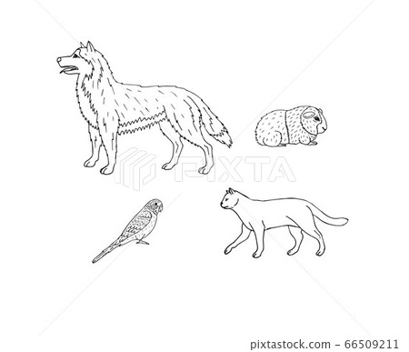 Vector set bundle of hand drawn doodle sketch pets - Stock Illustration ...