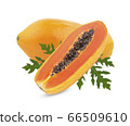 papaya isolated on white background 66509610