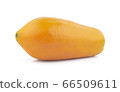 papaya isolated on white background 66509611