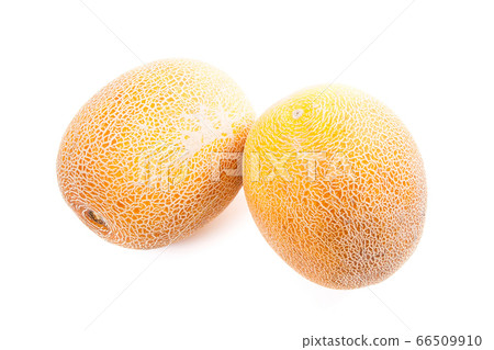 Whole honeydew melon tropical fruit isolated on a Whole honeydew melon tropical fruit isolated on a 66509910